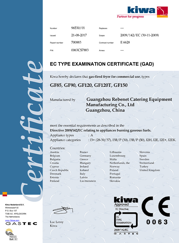 Gas Fryer CE